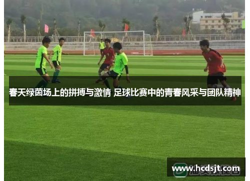 春天绿茵场上的拼搏与激情 足球比赛中的青春风采与团队精神